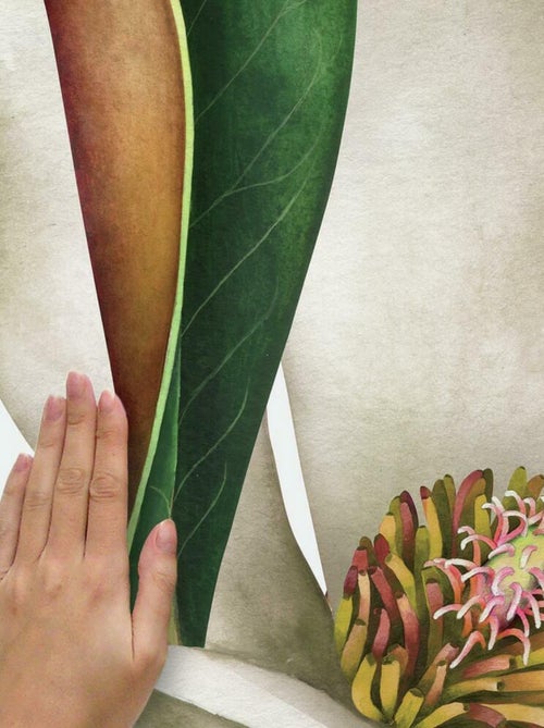 Sticker mural géant Magnolia Vintage - Kiabi