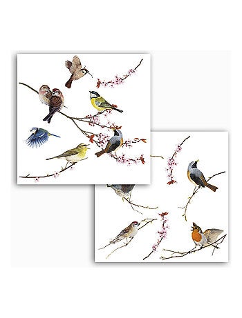 Sticker mural oiseaux colorés sur branche - 31 x 31 cm