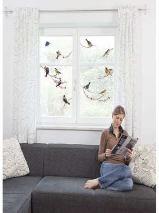 Sticker mural oiseaux colorés sur branche - 31 x 31 cm