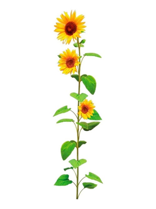 Sticker mural tournesol - Kiabi