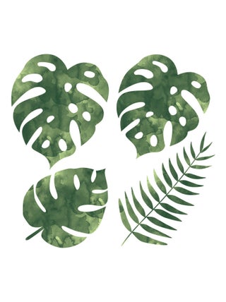 Stickers - 5 Feuilles De Palmier - Hauteur 22,9 cm