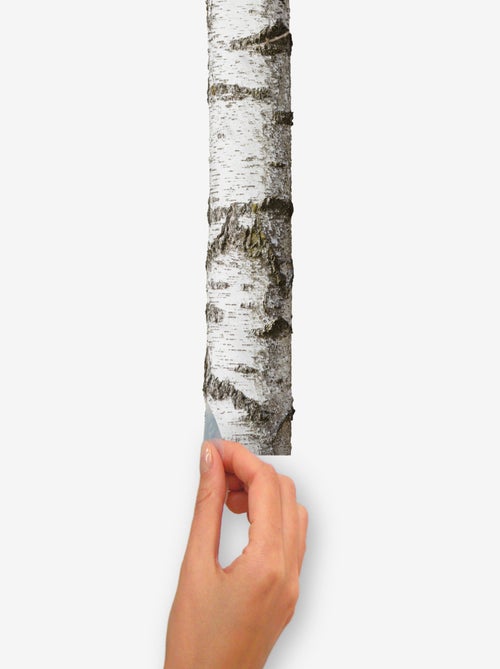 Stickers - Bouleaux 3D - Hauteur 92,71 cm - Kiabi