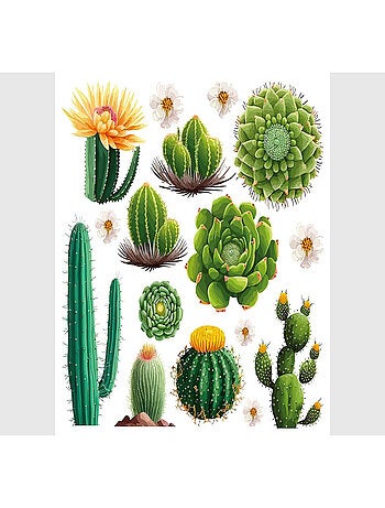 Stickers - Cactus - 1 planche 30x30cm
