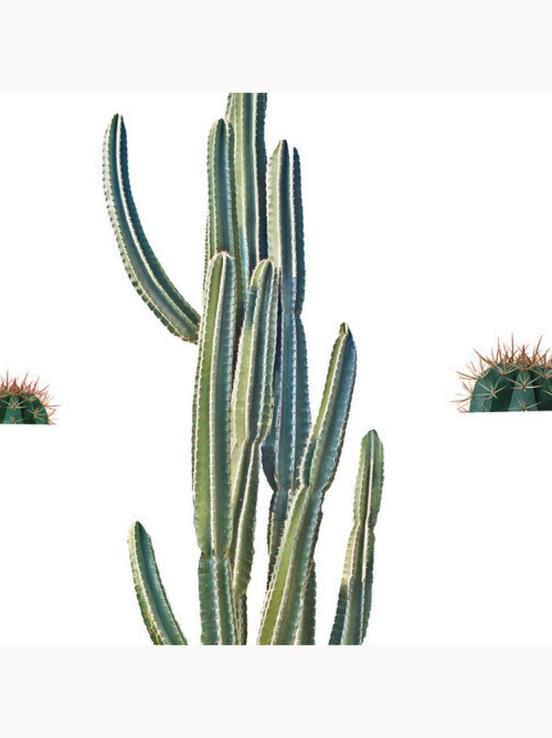 Stickers - Cactus Géant - Hauteur 92.71 cm Multicolore - Kiabi