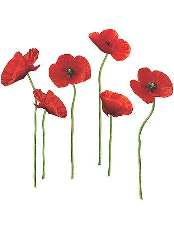 Stickers - Coquelicots - Hauteur 45,7 cm
