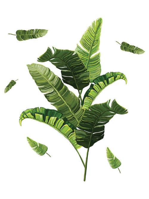Stickers - Feuilles De Bananiers - Hauteur 92.71 cm - Kiabi