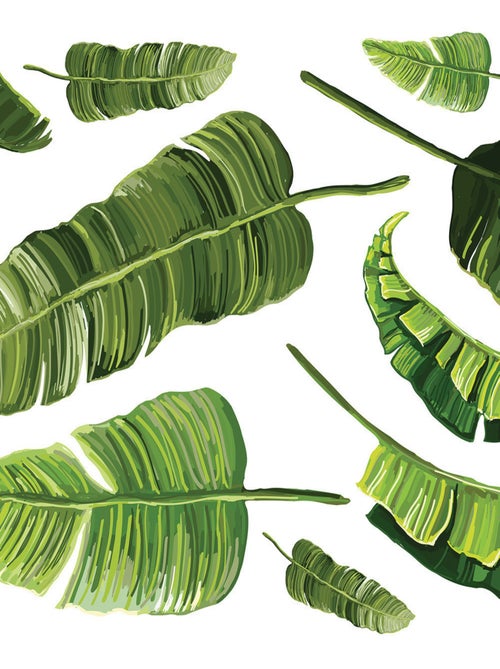 Stickers - Feuilles De Bananiers - Hauteur 92.71 cm - Kiabi