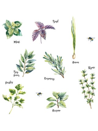 Stickers - Herbes - Hauteur 22,9 cm
