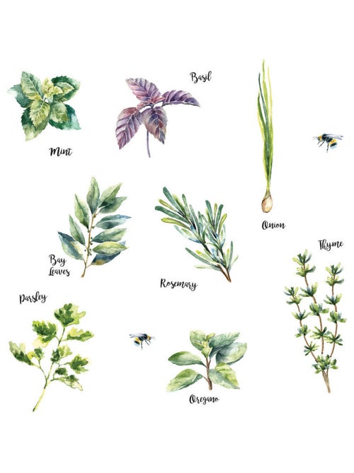 Stickers - Herbes - Hauteur 22,9 cm - Kiabi