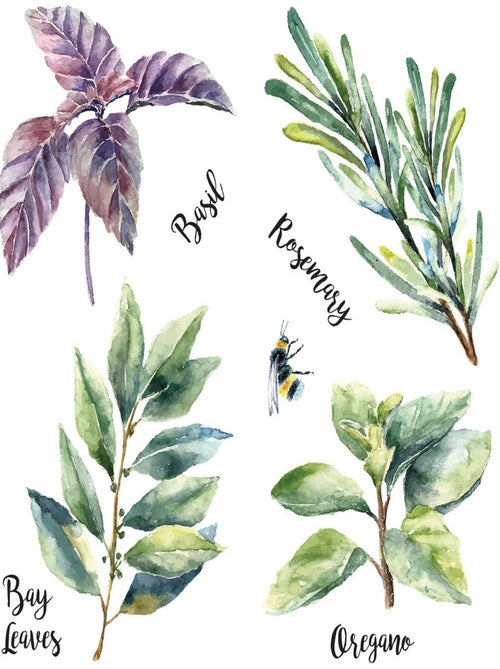 Stickers - Herbes - Hauteur 22,9 cm - Kiabi