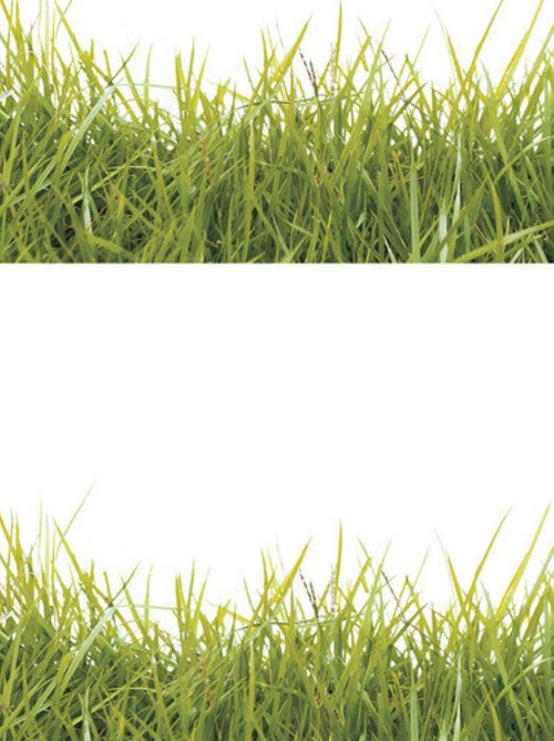 Stickers - Herbes Géantes - Hauteur 92.71 cm - Kiabi