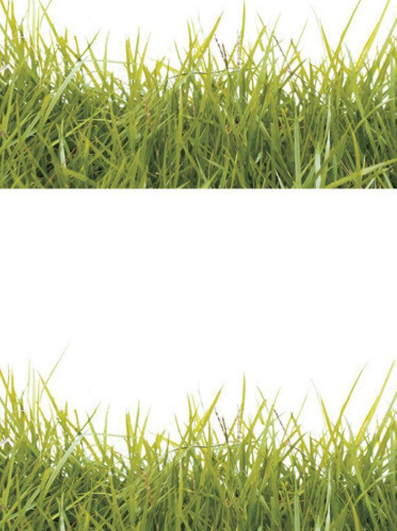 Stickers - Herbes Géantes - Hauteur 92.71 cm Multicolore - Kiabi