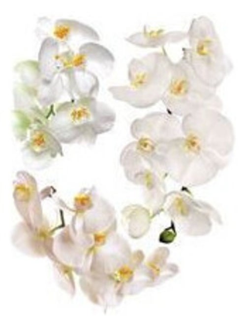 Stickers - Orchidées Blanches - 1 planche 65 x 85 cm - Kiabi