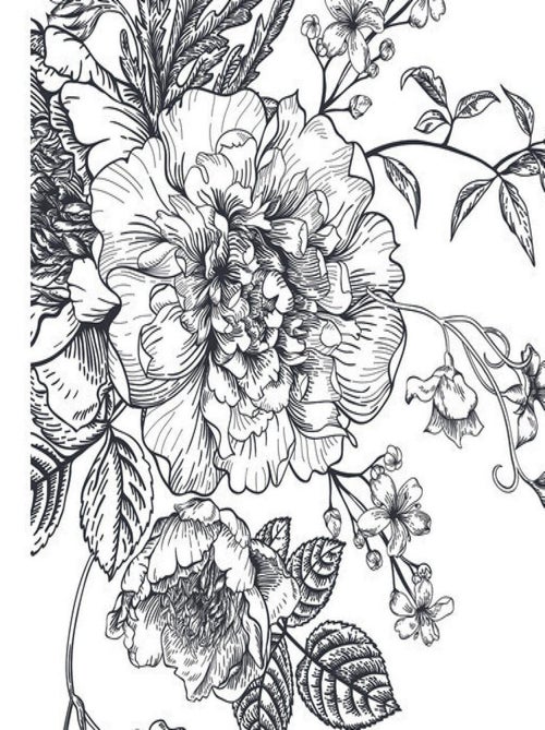 Stickers - Pivoines - Hauteur 92.71 cm - Kiabi