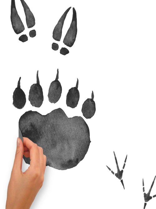 Stickers - Traces De Pas D' Animaux - Hauteur 22.9 cm - Kiabi