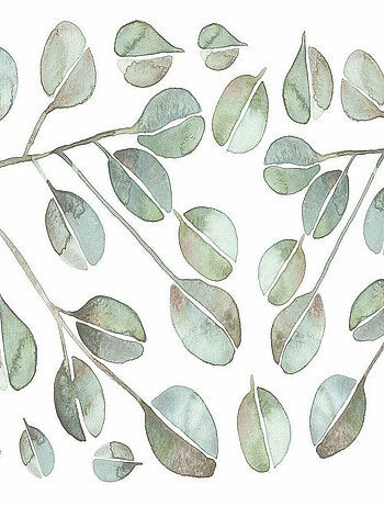 Stickers feuilles d'eucalyptus géant