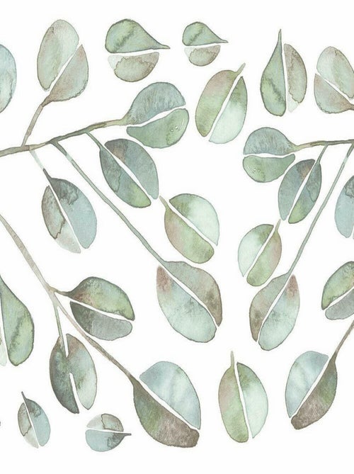 Stickers feuilles d'eucalyptus géant - Kiabi