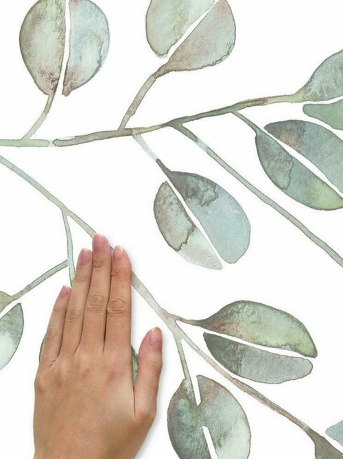 Stickers feuilles d'eucalyptus géant - Kiabi