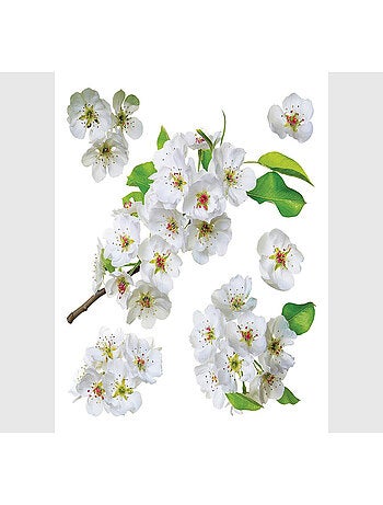 Stickers Fleurs blanches et feuilles de pommier - 1 planche 30x30cm