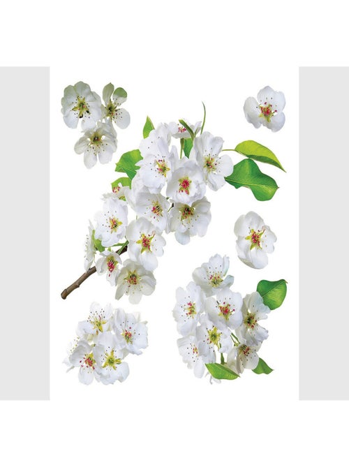 Stickers Fleurs blanches et feuilles de pommier - 1 planche 30x30cm - Kiabi