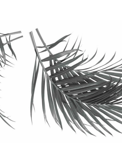 Stickers géant feuille de palmier noire - Kiabi