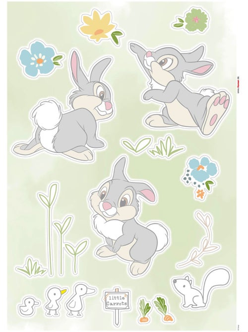 Stickers muraux- thumper in the garden - Kiabi