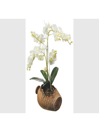 Stickers Orchidées blanches Dans une jarre  - 1 planche 42,5 x 65 cm