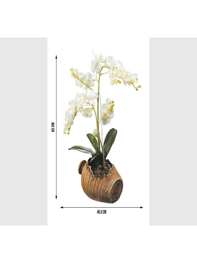 Stickers Orchidées blanches Dans une jarre  - 1 planche 42,5 x 65 cm Blanc - Kiabi