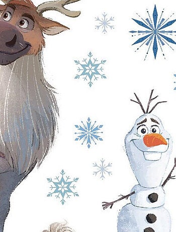 Stickers repositionnable Disney - La Reine des Neiges 2 - modèle dessin - 42.5CM x 65 CM