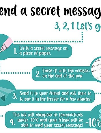 Stylo à encre gel effaçable - Erasable Pen - Hippo