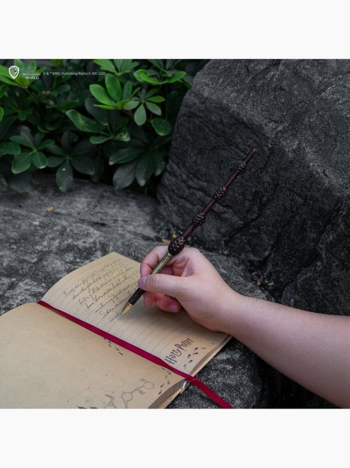 Stylo baguette avec socle & marque-page lenticulaire Albus Dumbledore - Harry Potter - Kiabi