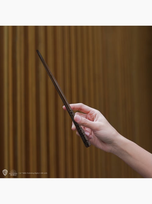 Stylo baguette avec socle & marque-page lenticulaire Cédric Diggory - Harry Potter - Kiabi Stylo baguette avec socle & marque-page lenticulaire Cédric Diggory - Harry Potter - Kiabi