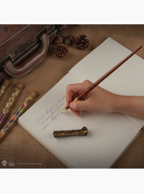 Stylo baguette avec socle & marque-page lenticulaire Harry Potter - Harry Potter - Kiabi