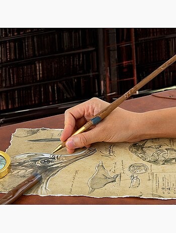 Stylo baguette magique Norbert Dragonneau - Harry Potter