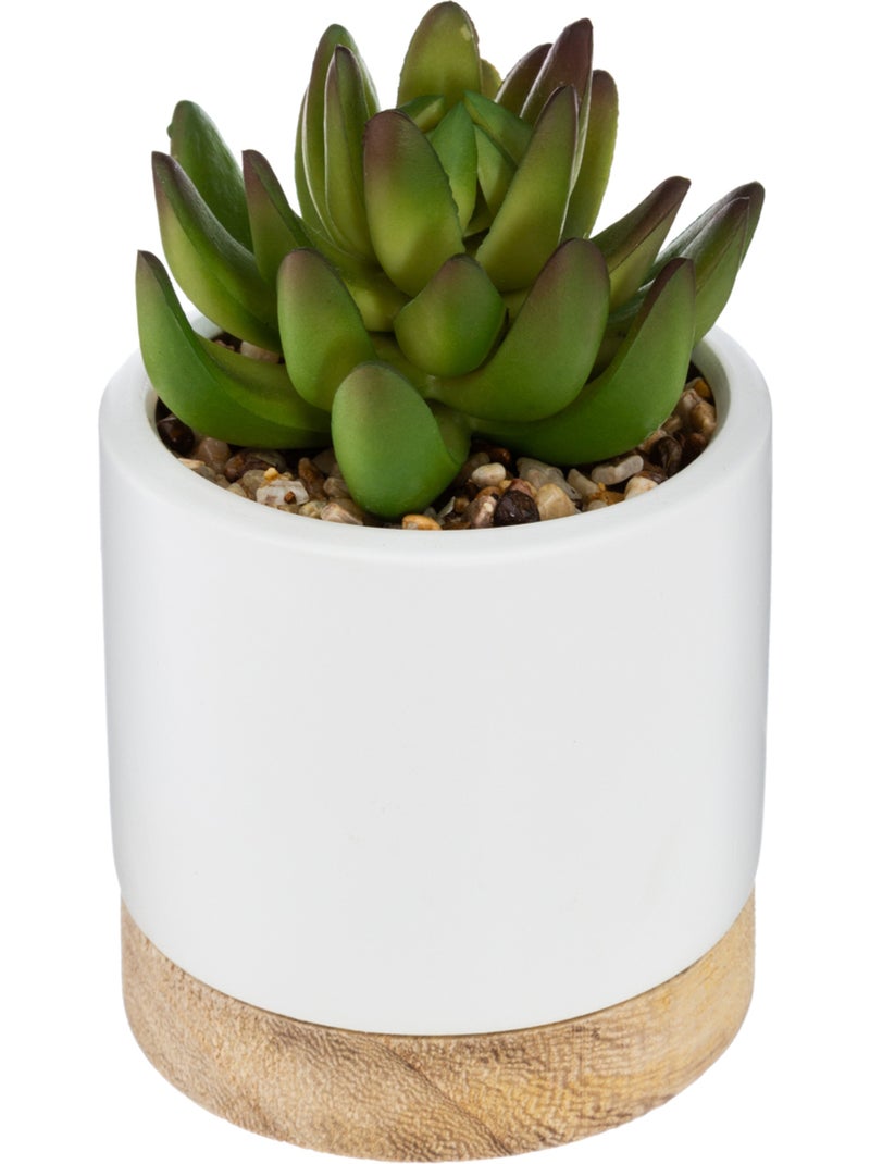 Succulente artificielle ARTY Vert foncé - Kiabi