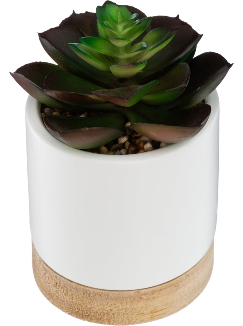 Succulente artificielle ARTY Vert foncé - Kiabi