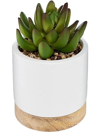 Succulente artificielle en pot de grès et bois