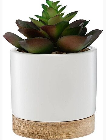 Succulente artificielle en pot de grès et bois