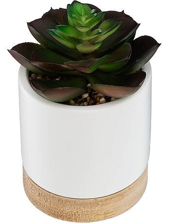 Succulente artificielle en pot de grès et bois