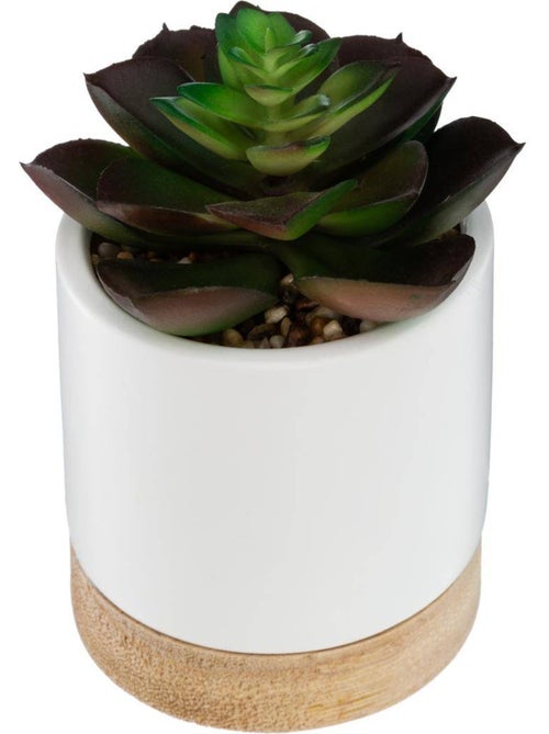 Succulente artificielle en pot de grès et bois - Kiabi