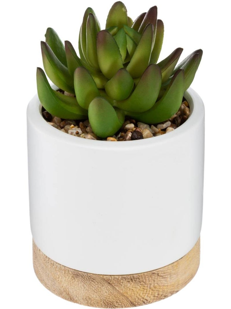 Succulente artificielle en pot de grès et bois Vert foncé - Kiabi
