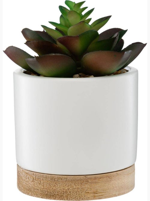 Succulente artificielle en pot de grès et bois - Kiabi