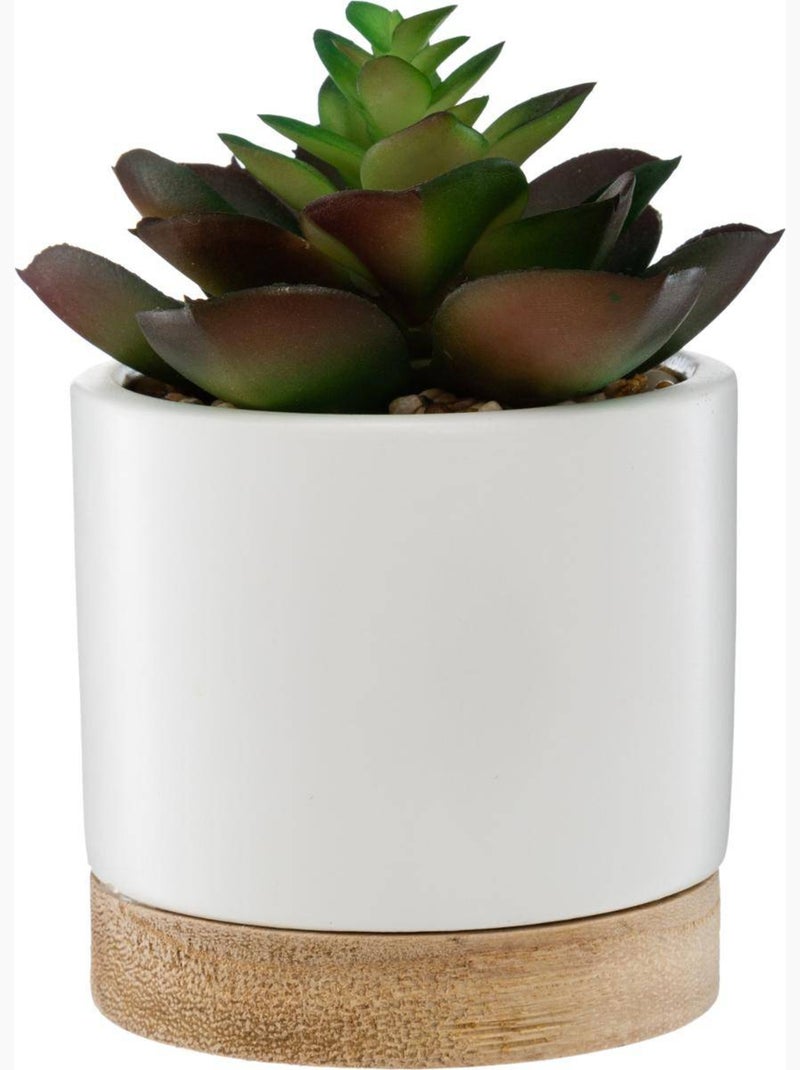 Succulente artificielle en pot de grès et bois Vert foncé - Kiabi