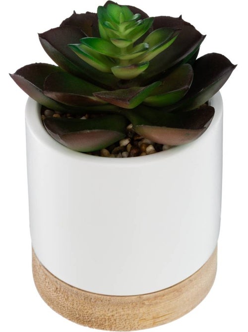 Succulente artificielle en pot de grès et bois - Kiabi