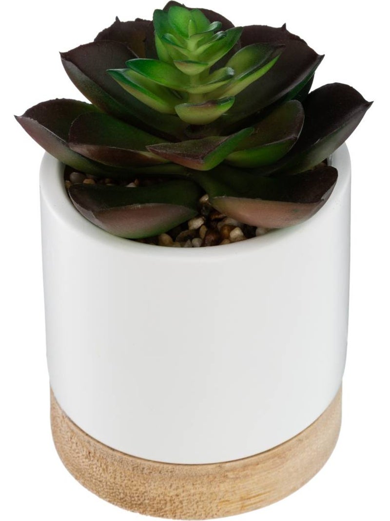 Succulente artificielle en pot de grès et bois Vert foncé - Kiabi