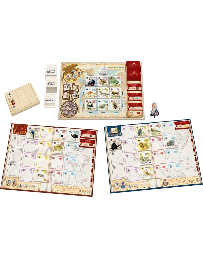 Sur les traces de Darwin Beige - Kiabi