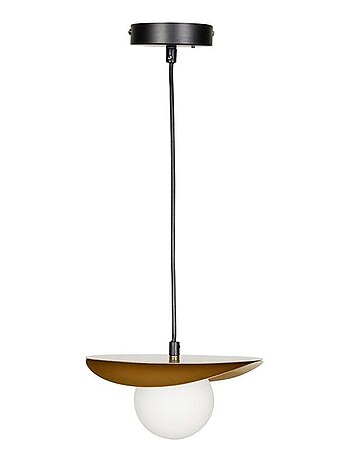 Suspension métal verre Demoiselle D22