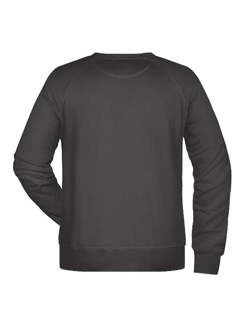Sweat - james and nicholson Gris Gris - Kiabi