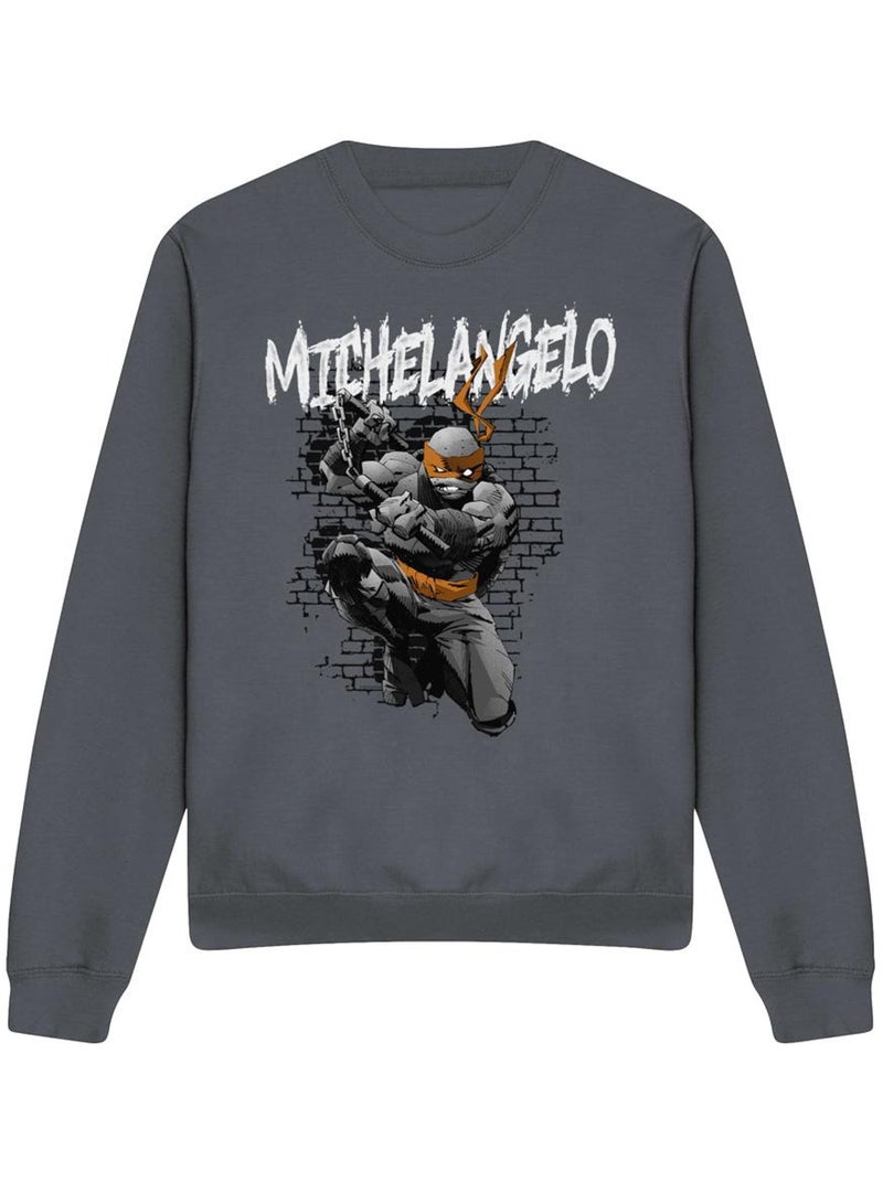 Sweat - les tortues ninja Gris Noir - Kiabi