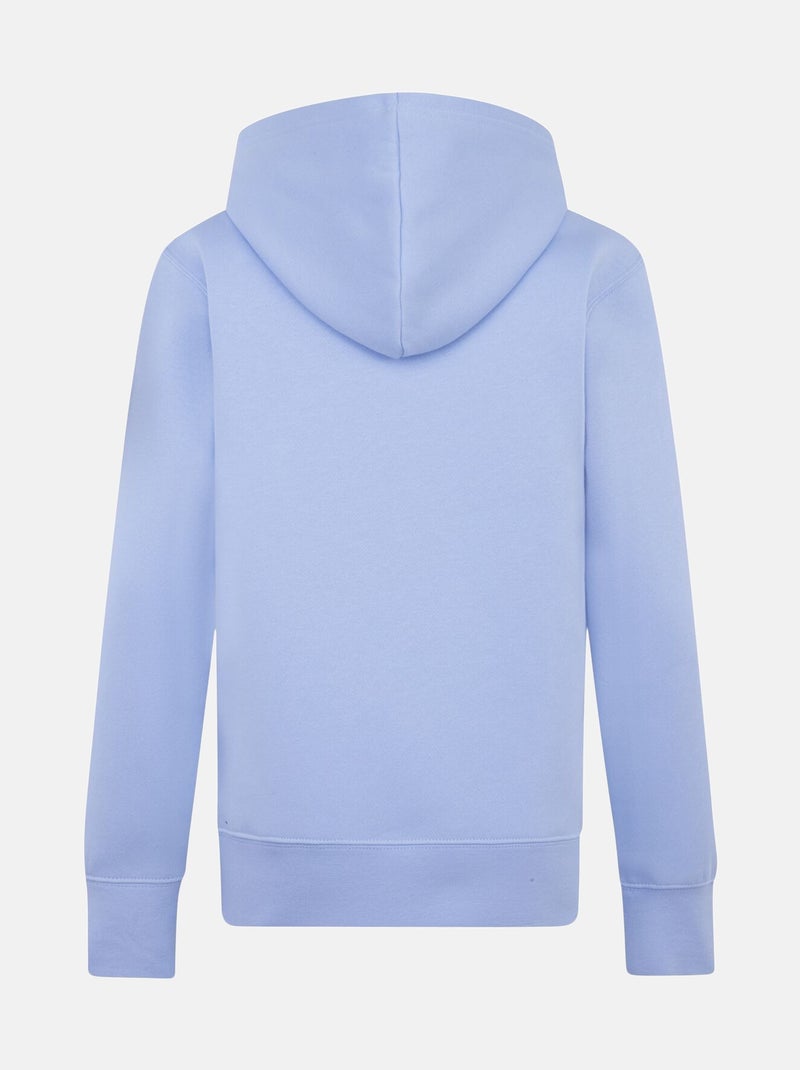 Sweat à capuche - Jordan Bleu clair - Kiabi